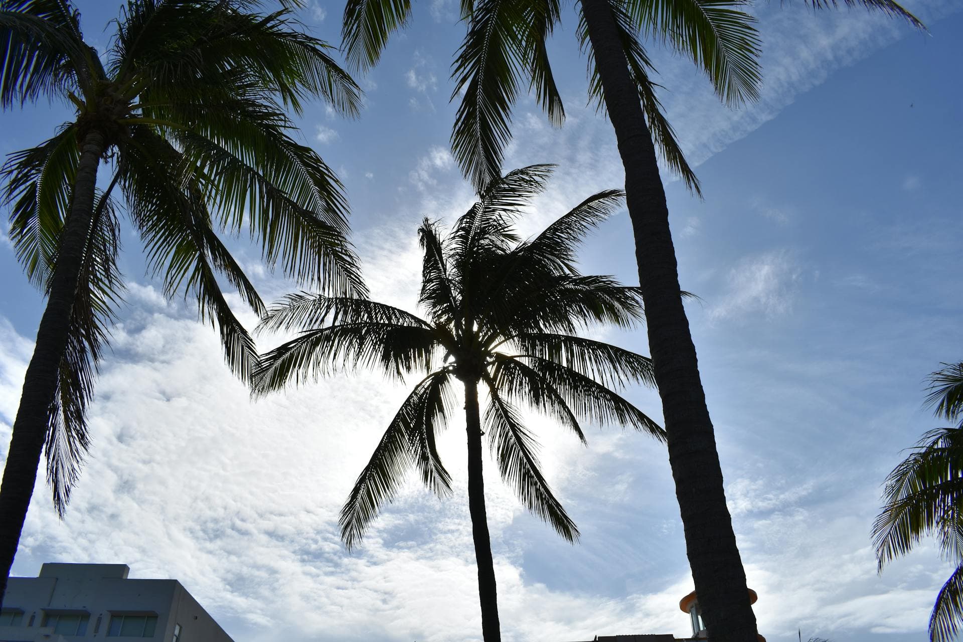 Saison des Vendanges en Géorgie : Quand Partir & à Quoi s'Attendre Pendant le Rtveli