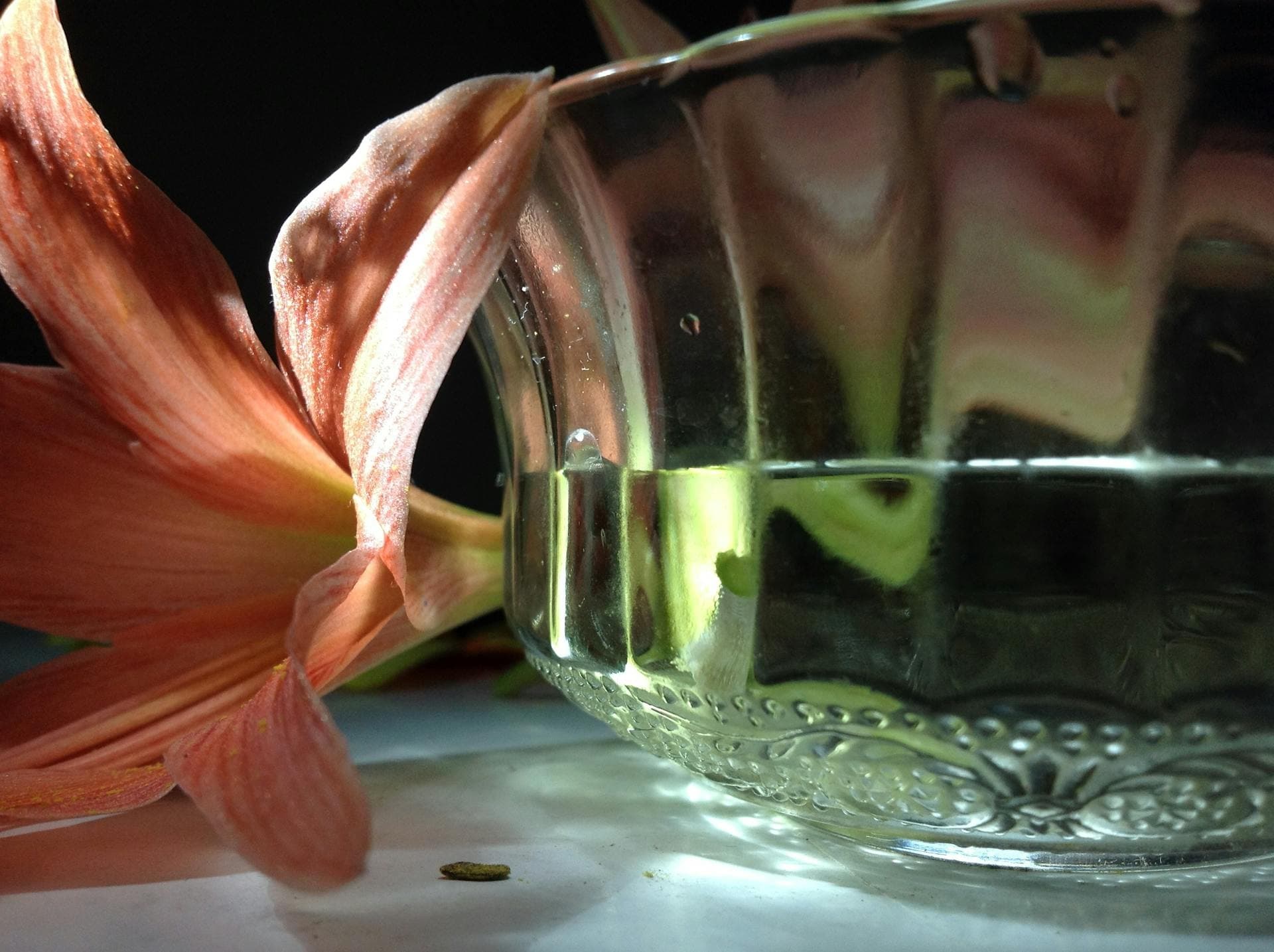 The Georgian Alphabet: A Beautiful Script & Phrases You Need