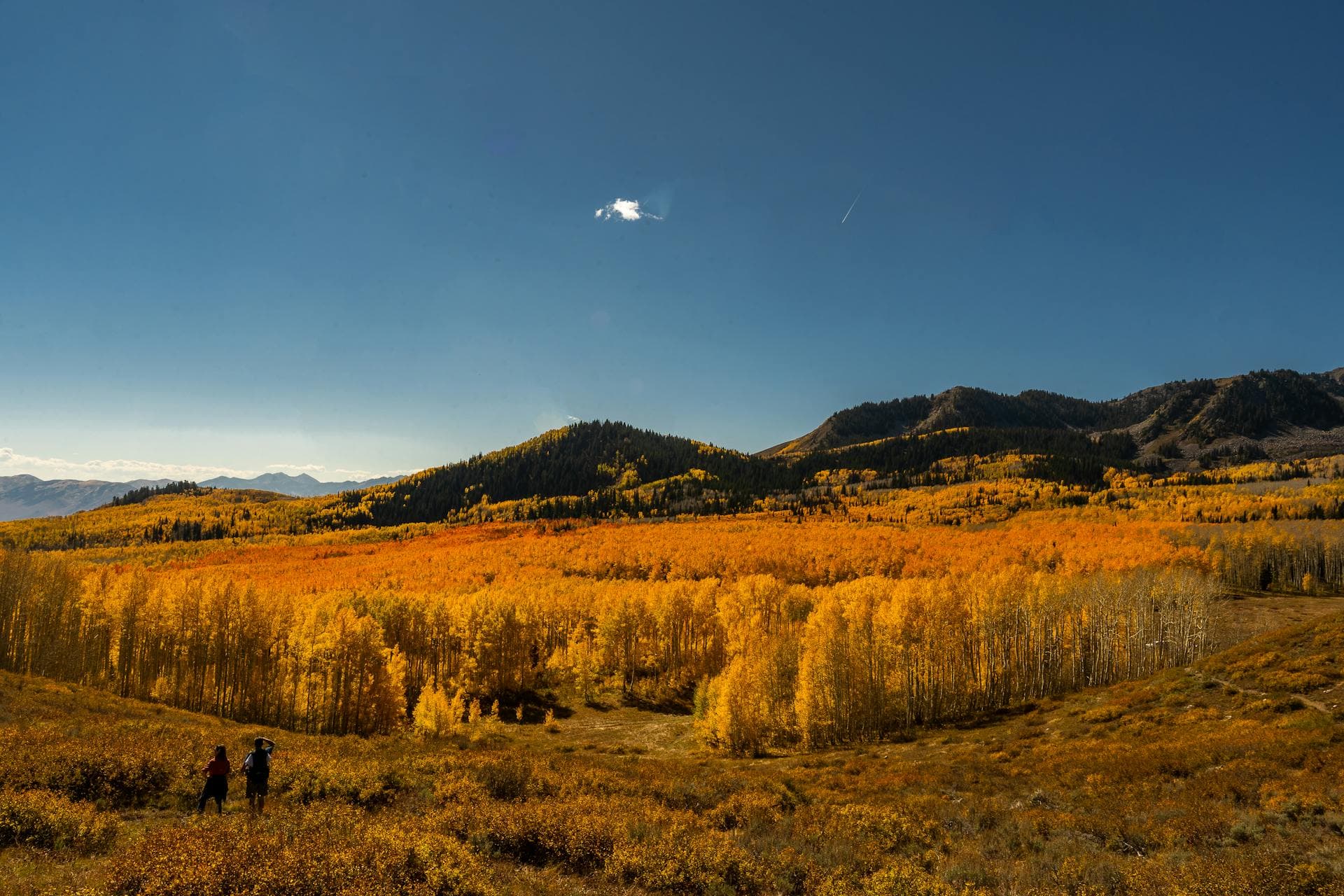 10 Reasons to Visit Georgia in Autumn (Harvest Season)