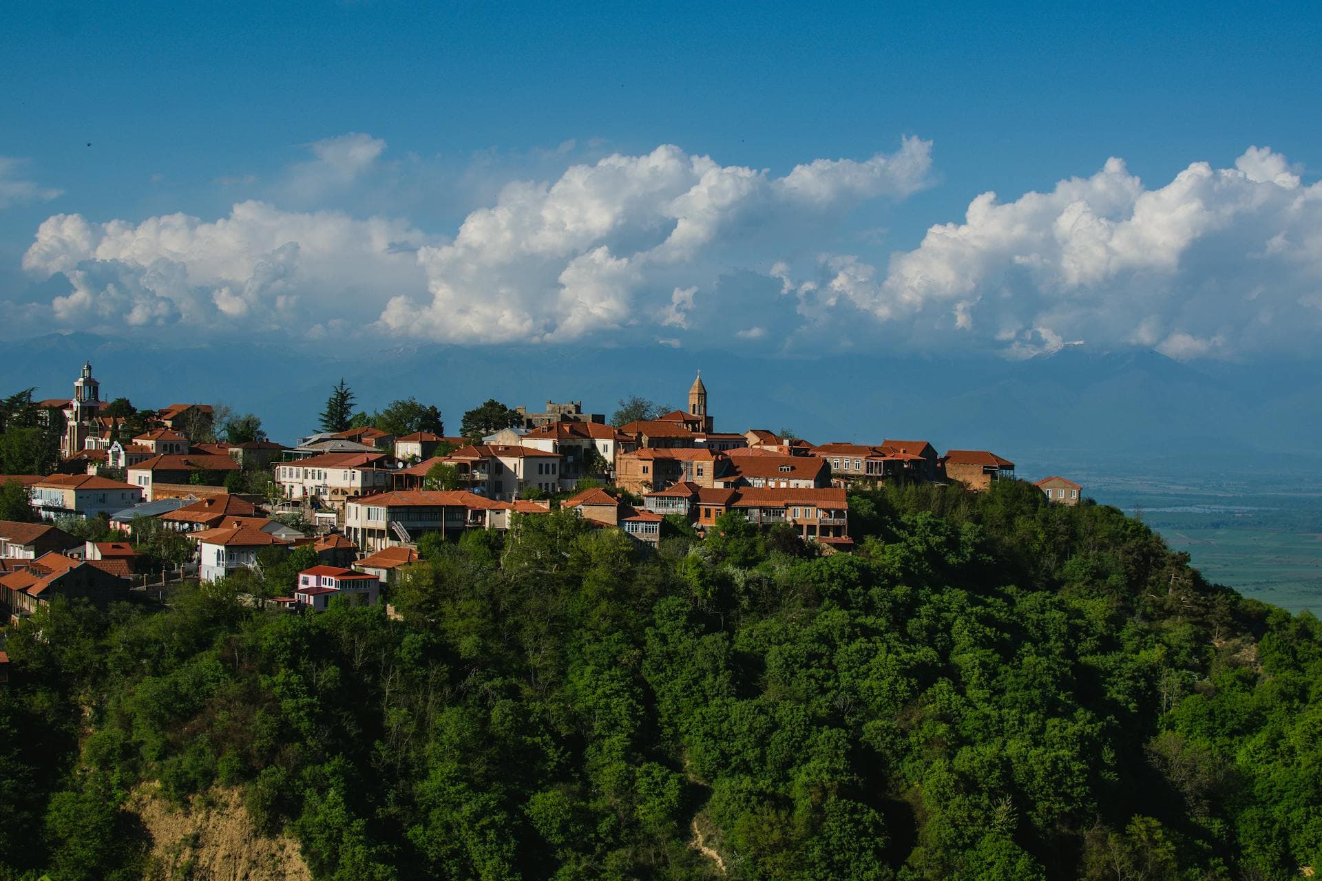 Guide de Sighnaghi et de la région viticole de Kakhétie : le cœur du vin géorgien