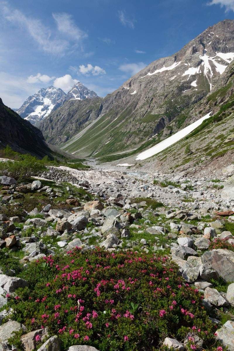 Georgia in Spring: April & May Travel Guide (Wildflowers, Weather & Itineraries)