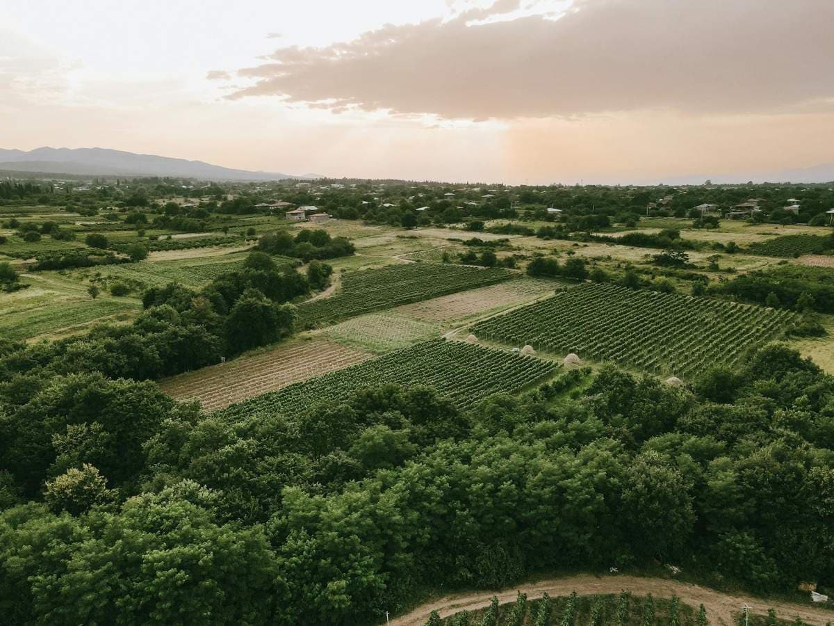 Why Georgia Is the Most Underrated Wine Destination in the World